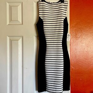 Windsor tight dress size XS never worn still has tag on dress